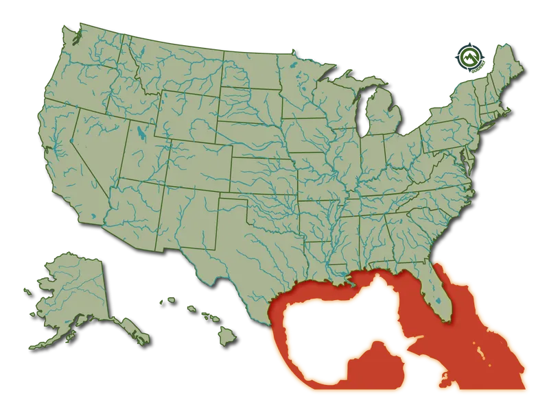 Crevalle_Jack_HeatMap@1600x