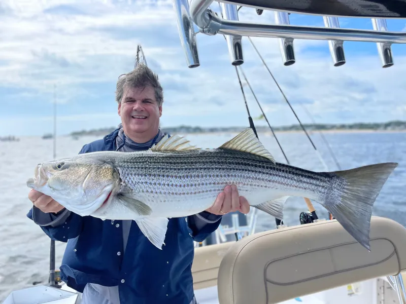 Striped Bass fishing