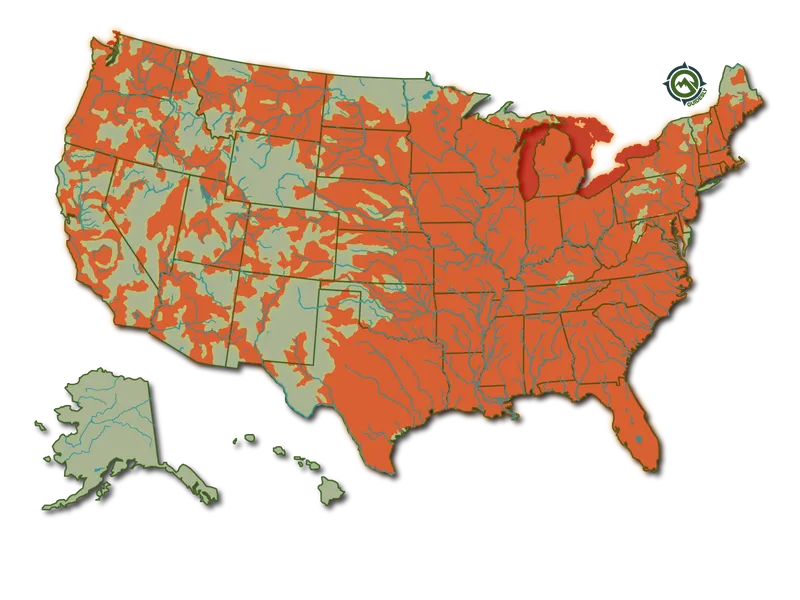 Largemouth Bass Fish United States Fishing Heatmap