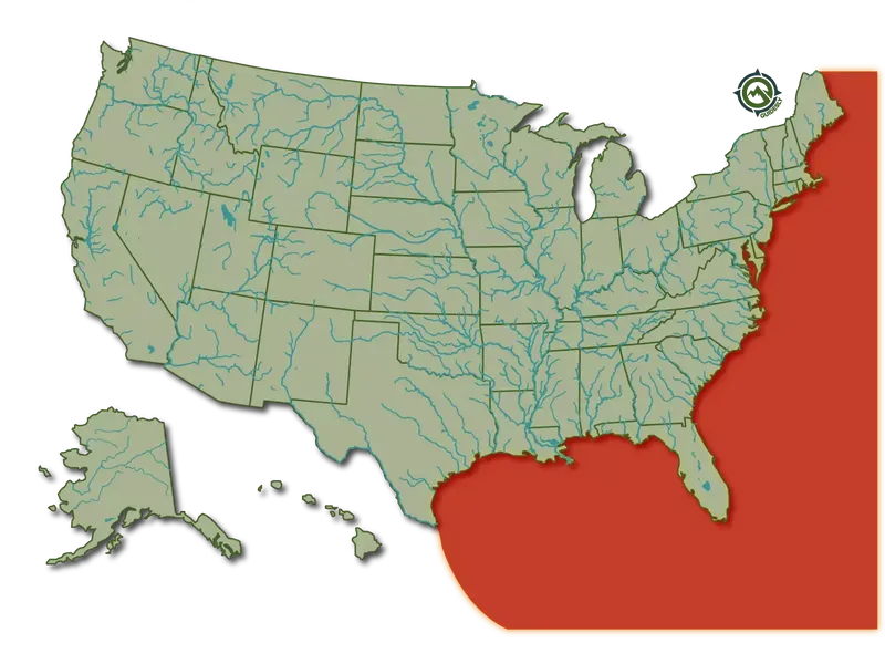 Little Tunny Habitat and Distribution
