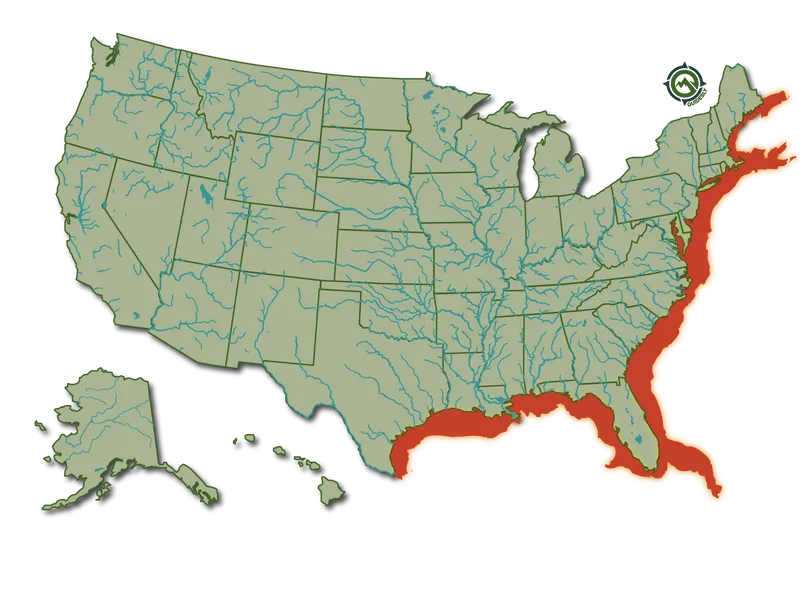 Scup_HeatMap@1600x
