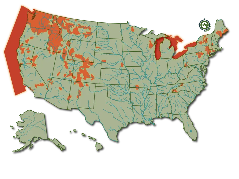 Sockeye Salmon Fish United States Fishing Heatmap