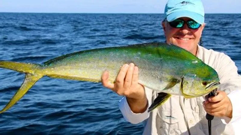 Mahi-Mahi or Common Dolphinfish