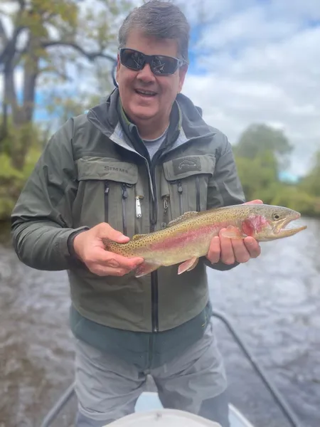 Rainbow Trout