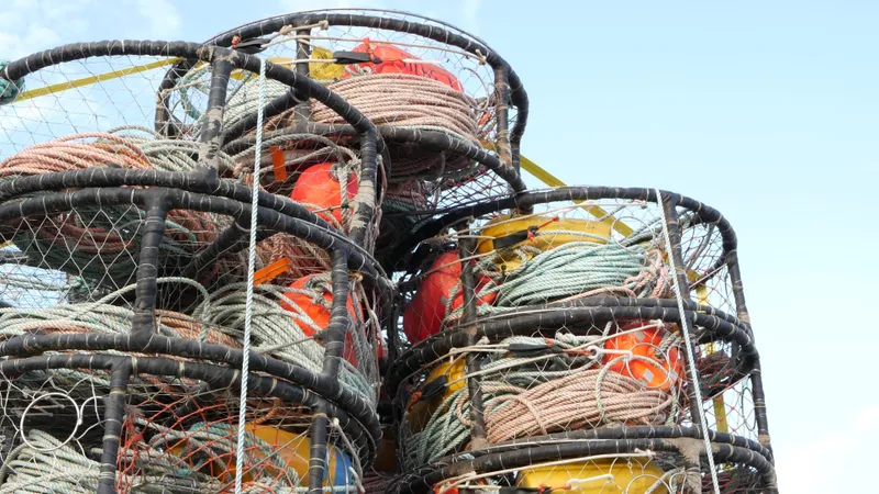 Netting