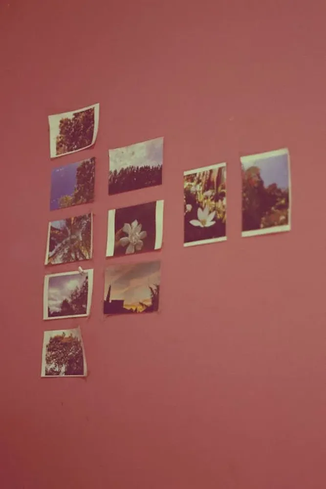 1-North Branch Nashwaaksis Stream  Fishing Report on 27th Dec, 2024