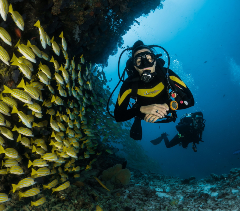 New Web testing report