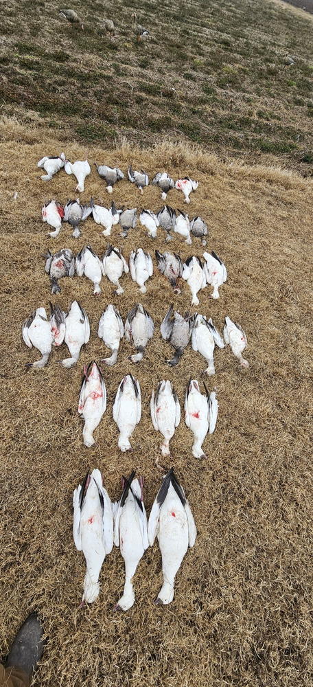 Arkansas Hunting Report