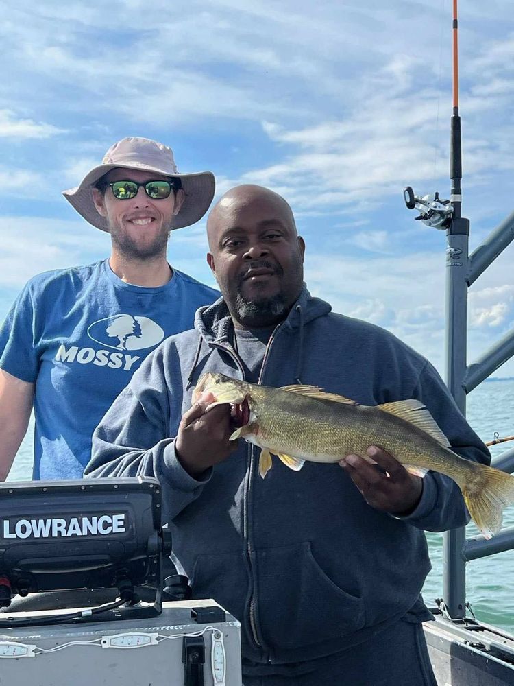 Kelley’s island walleye showing back up