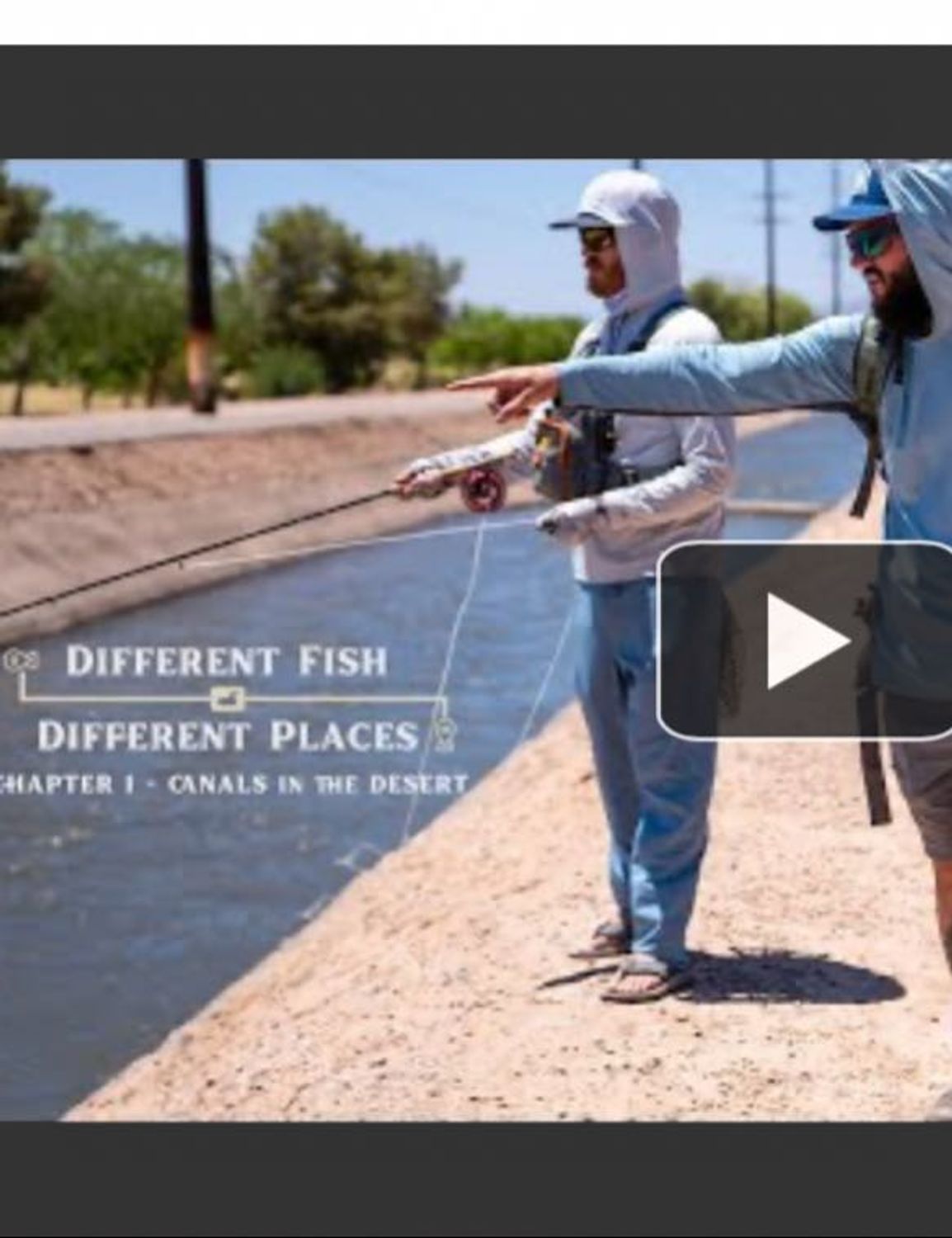 Why should I hire Lo Water Guide Service for a fly fishing guide when visiting Phoenix, Arizona?