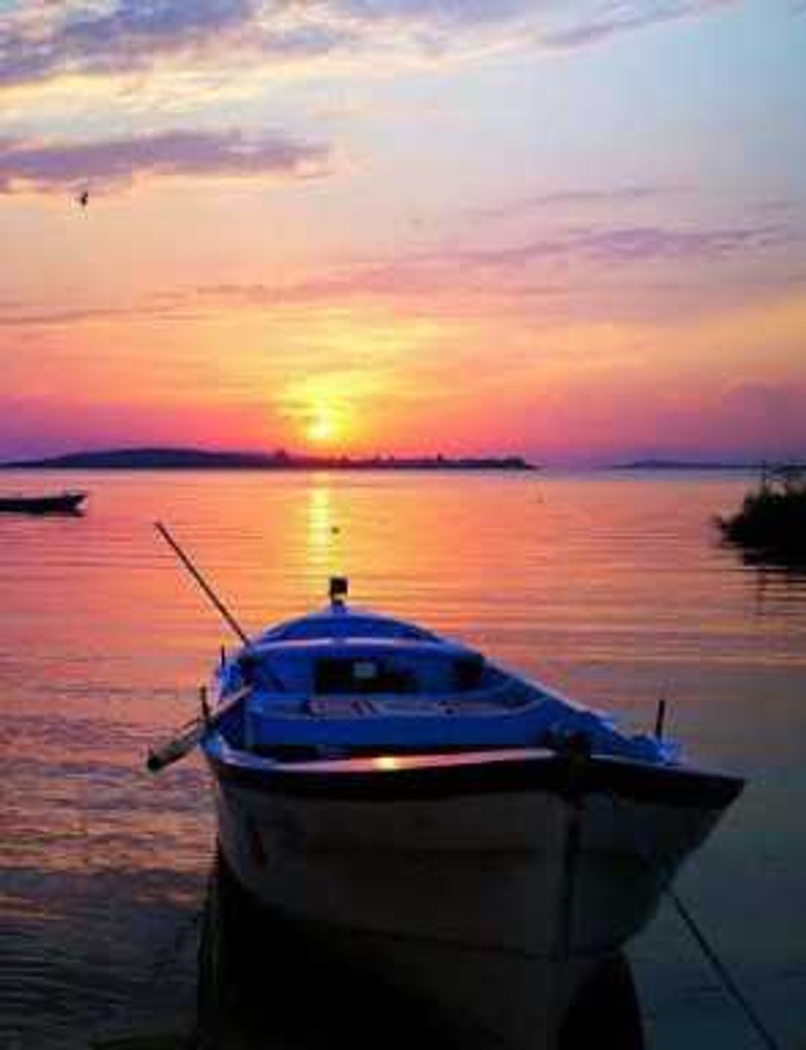 App report 3rd party integration 