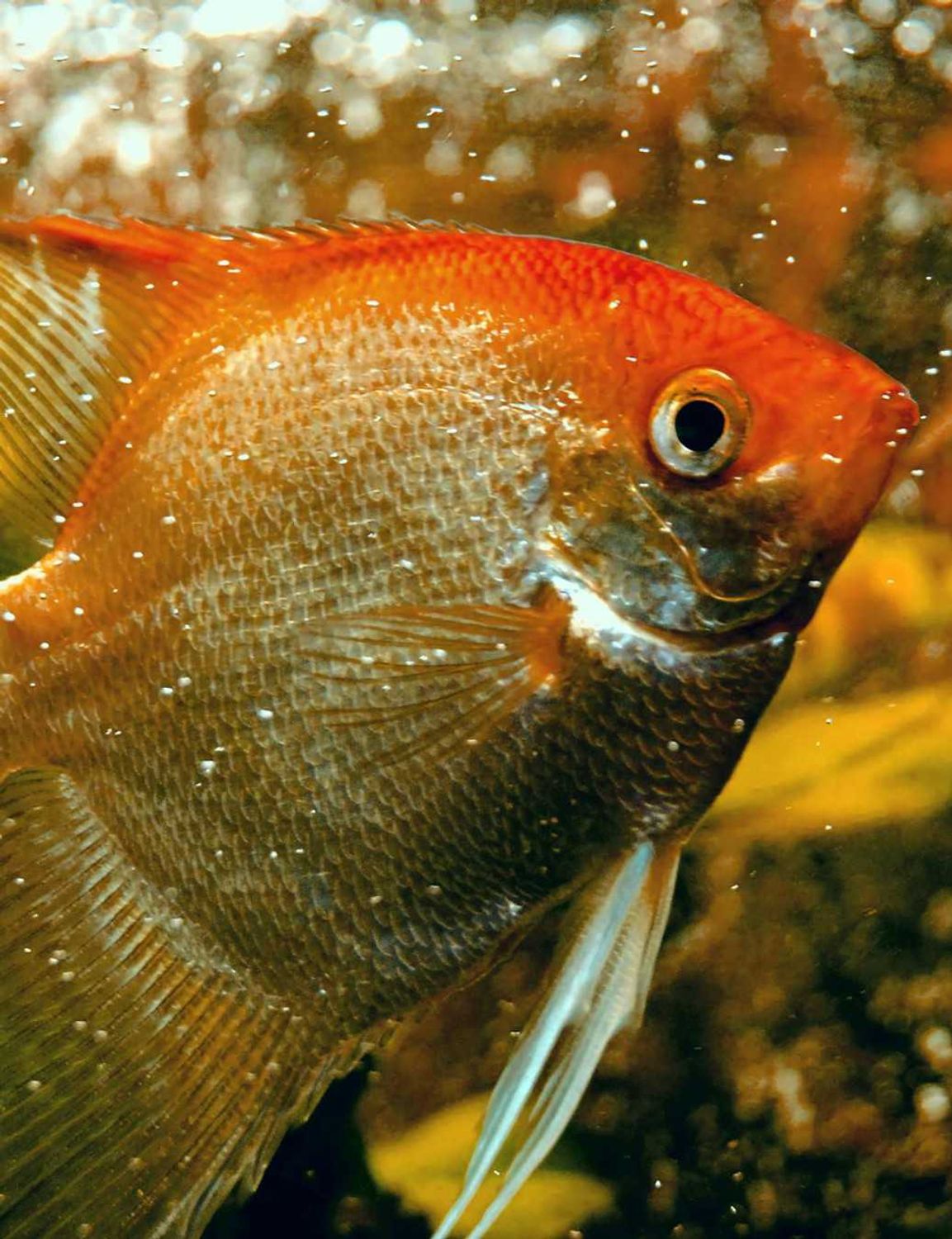 3-app test social share