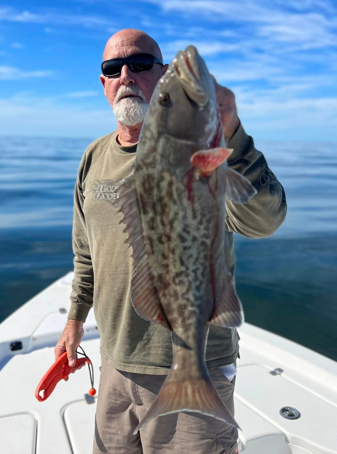 Grouper Bite 
