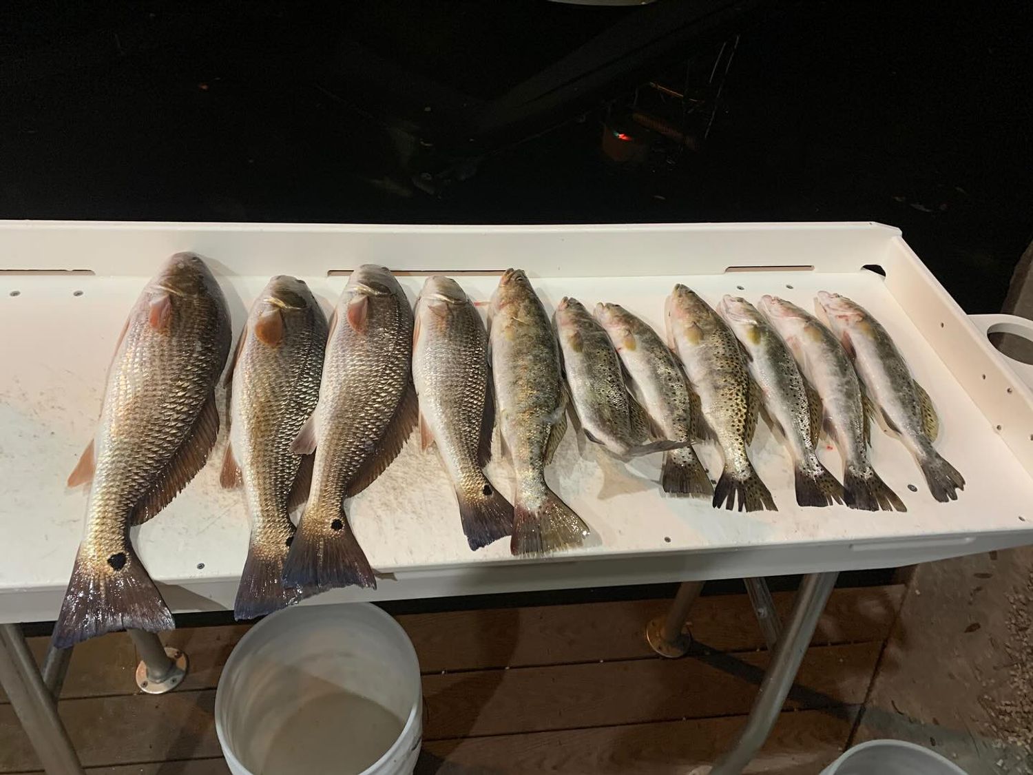 Redfish and Trout Bite Is Hot