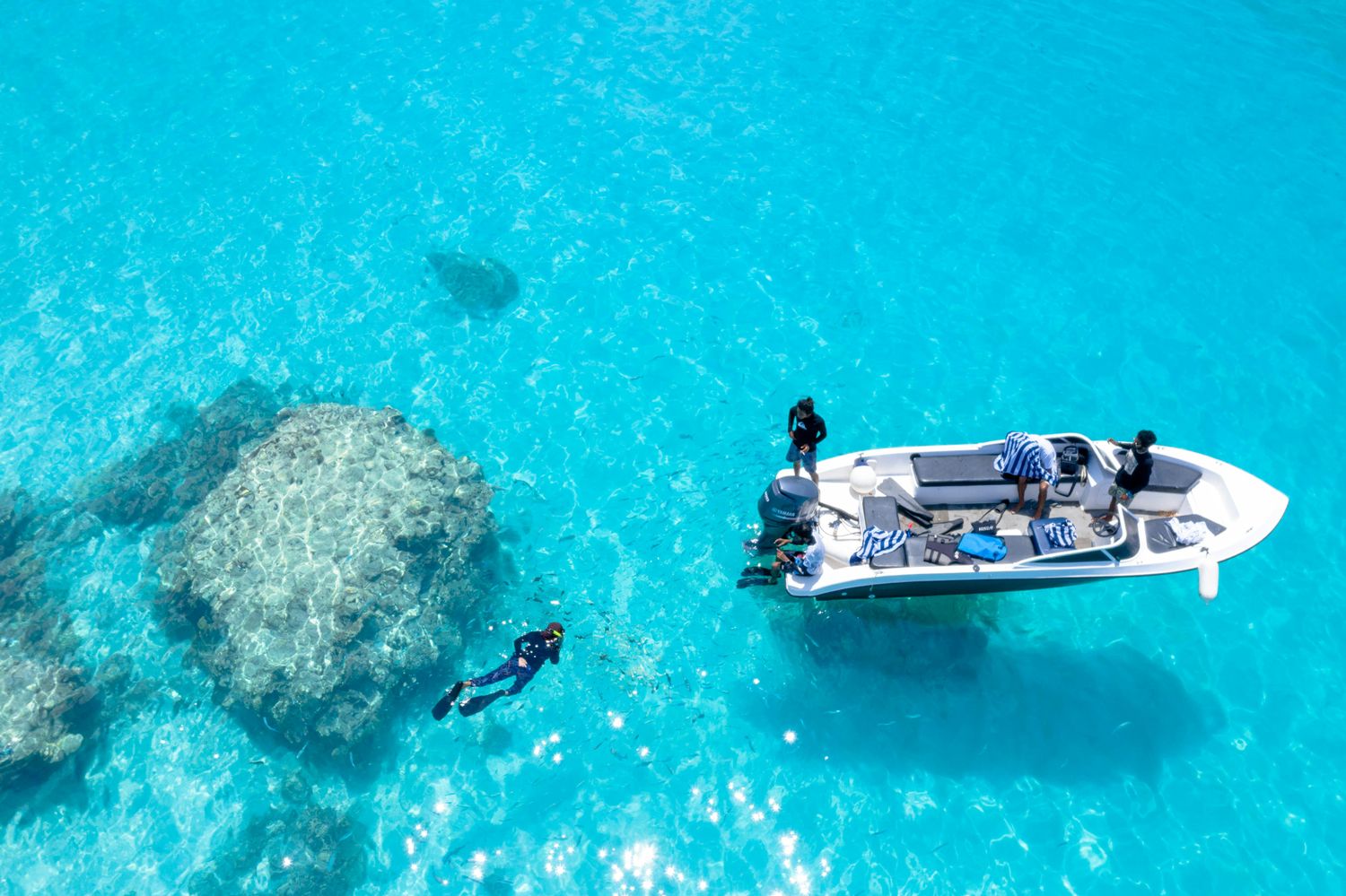 A fishing report is a detailed summary that provides information about current fishing conditions in a specific area. It typically includes updates on