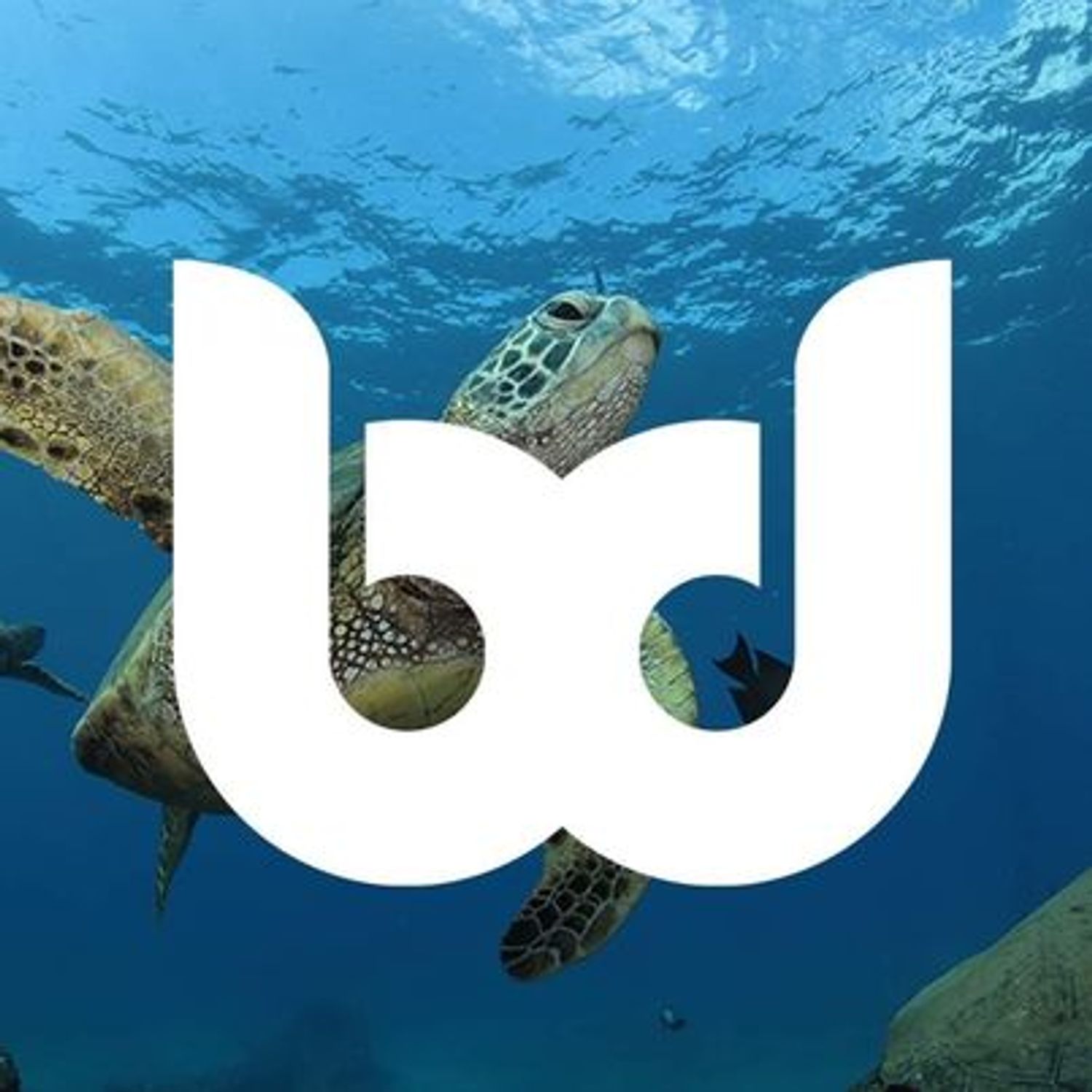 scuba diving key largo florida