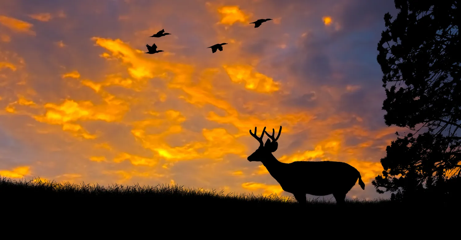 amzing trip test test