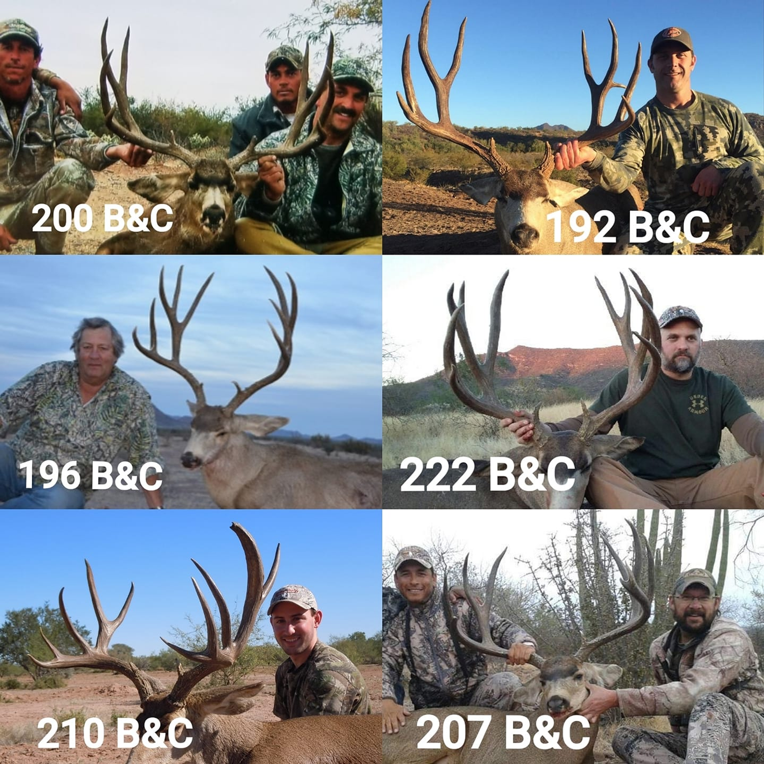 Arizona Hunting Report