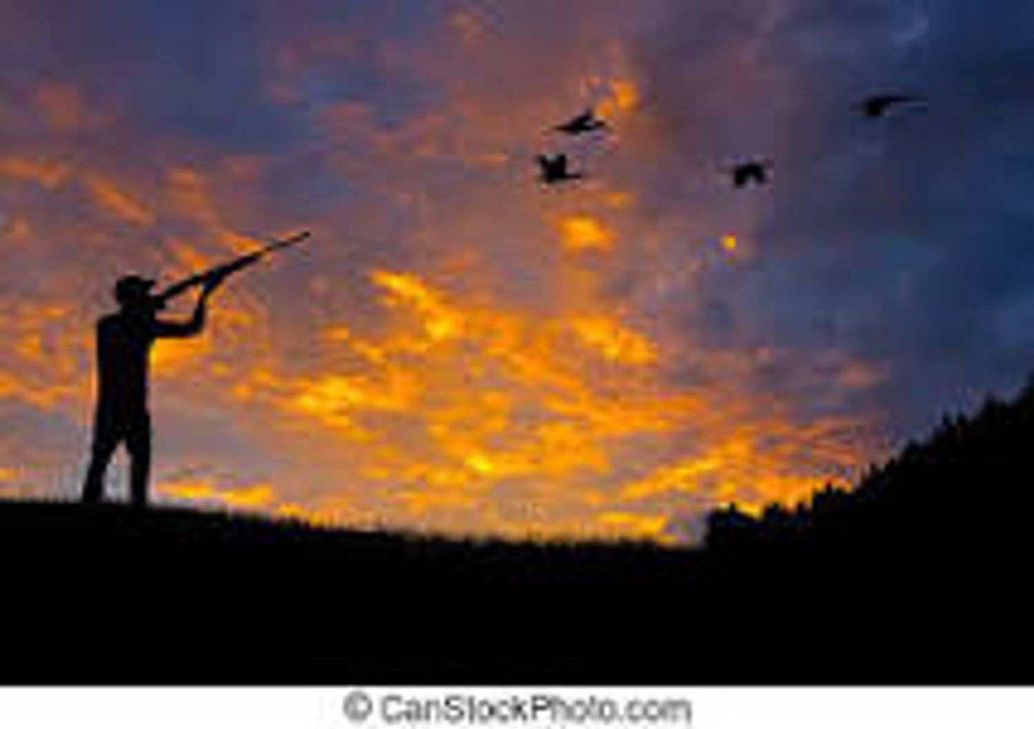 test from Web