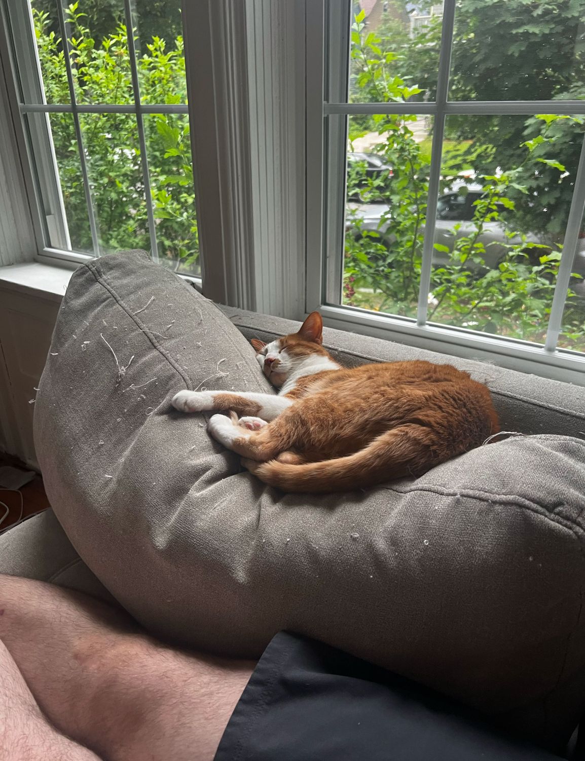 Sunrise Fishing in Buffalo