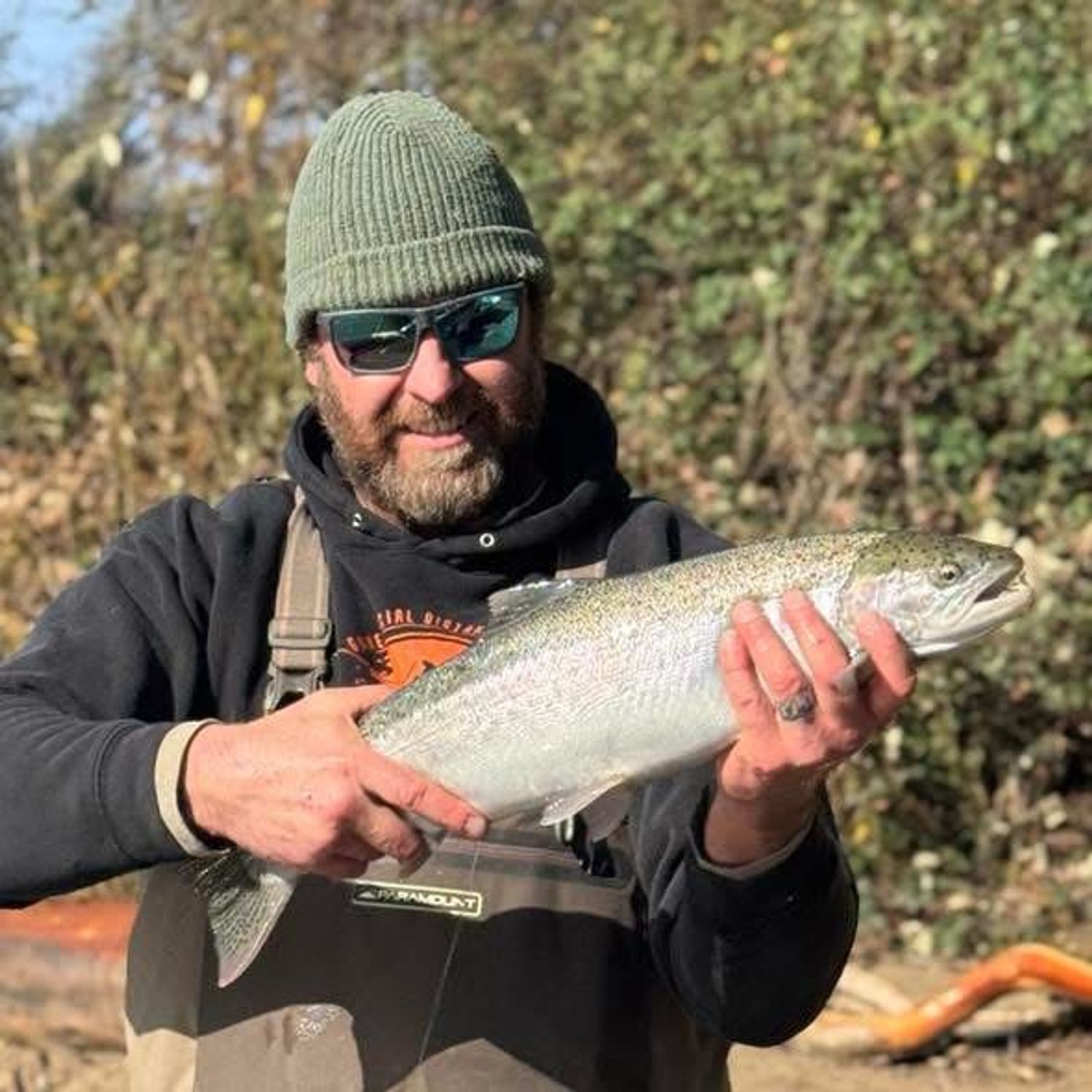 Winter Steelhead 