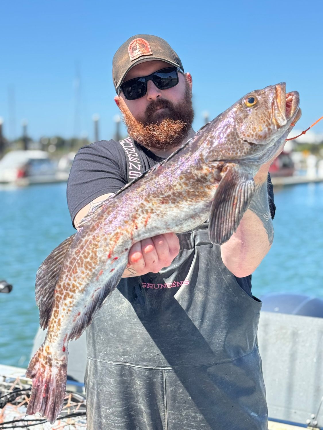 Lingcod, Rockfish, and crabbing