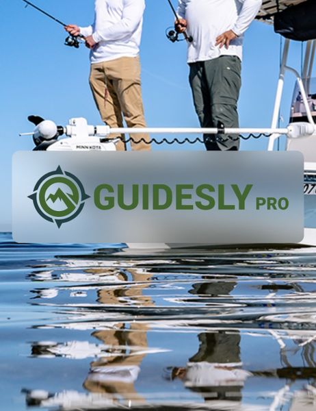 Reports from Android Pro