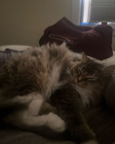 Sunset Cruise around the canal with an experienced guide in Buffalo, NY. This is a fantastic trip