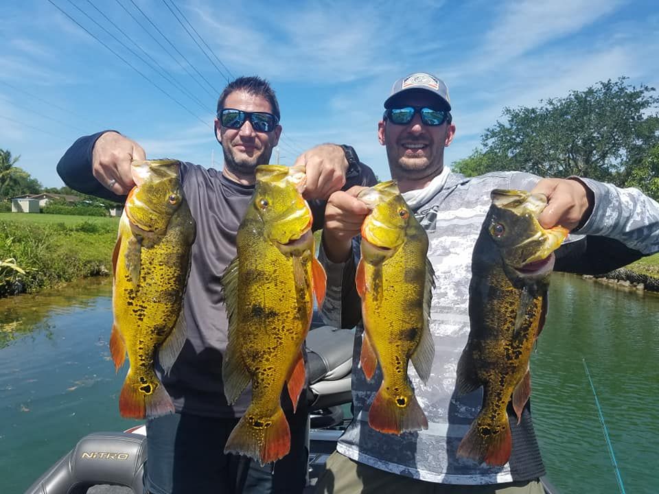 Top-Rated Bass Fishing in Everglades & Okeechobee