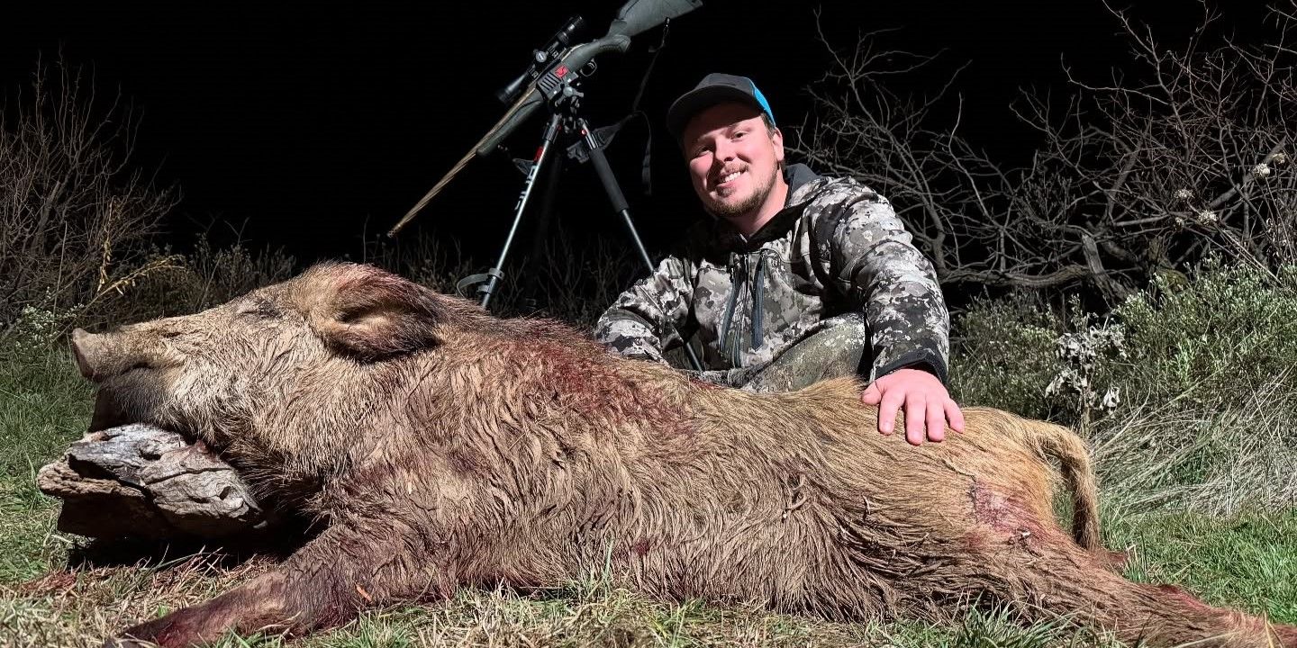 Premium Texas Wild Boar Hunt | AllOut Adventures