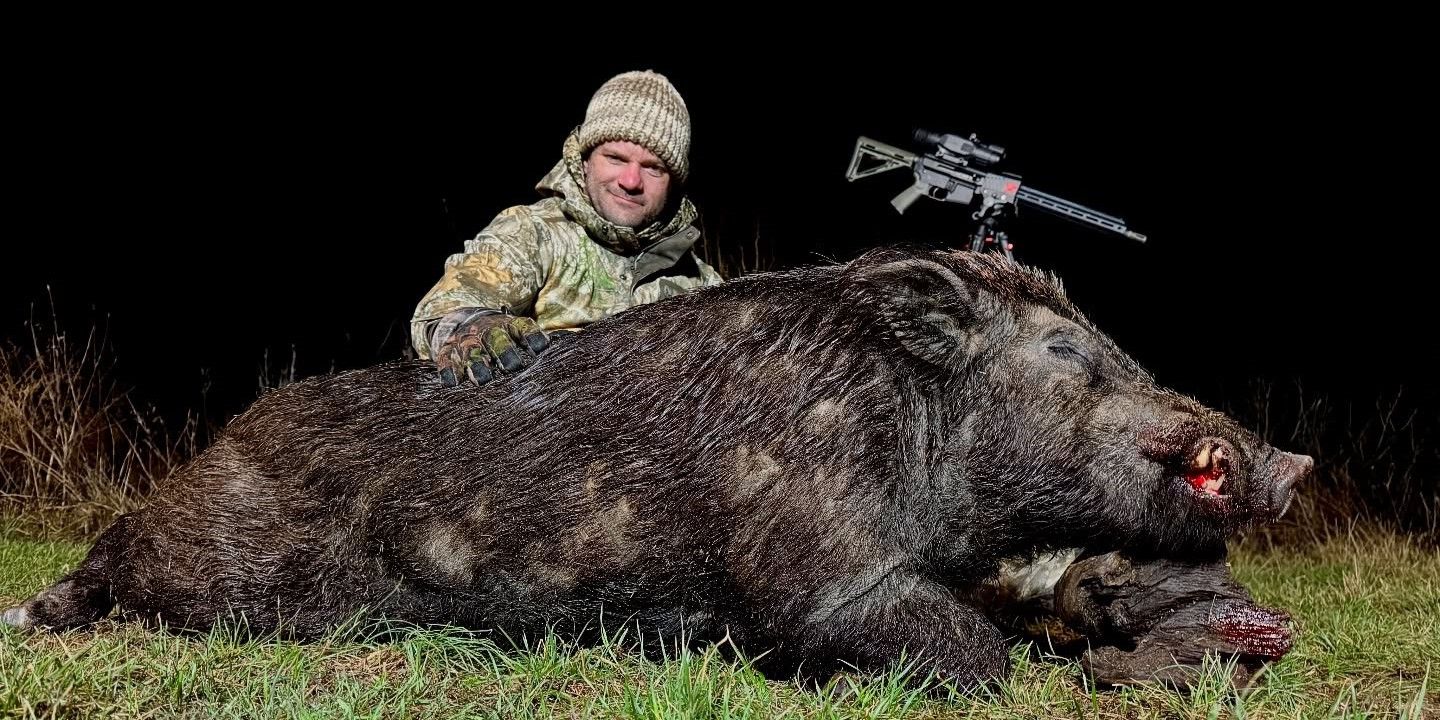 Skilled Texas Hog Hunt | AllOut Adventures