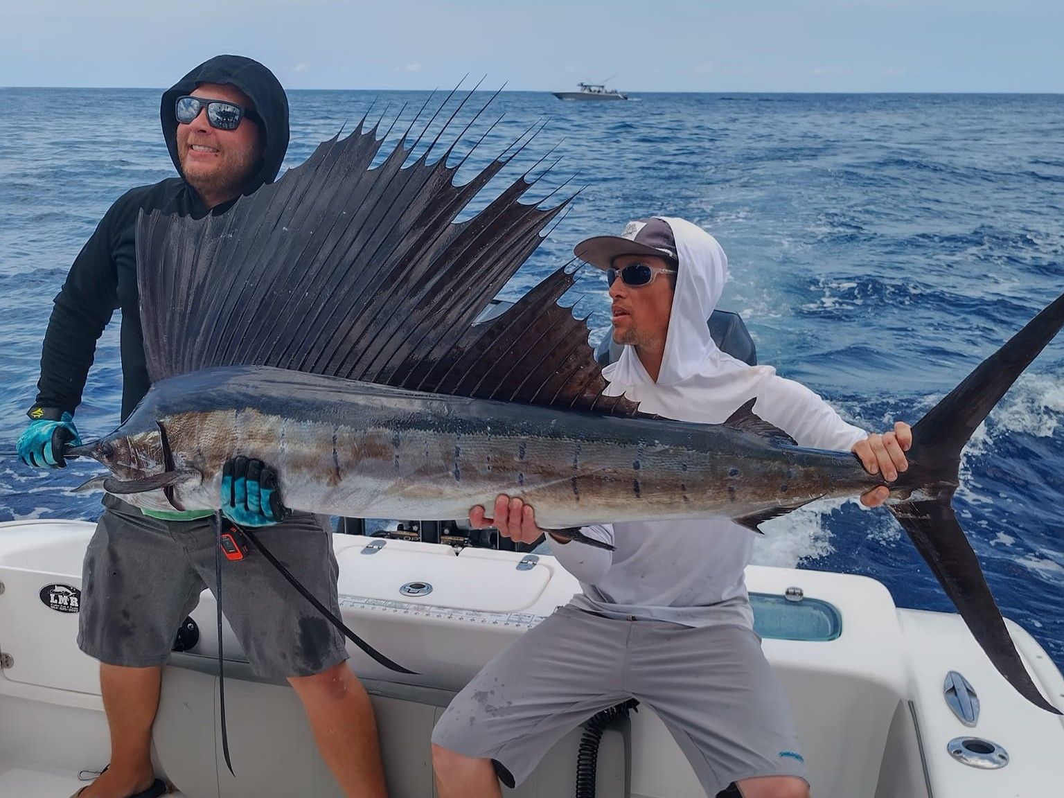 Legendary Gulfstream Fishing in Daytona Beach