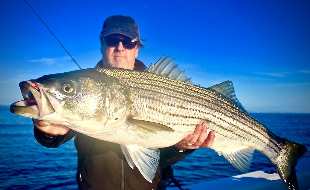 World-Class Striper Fishing in Portsmouth, NH