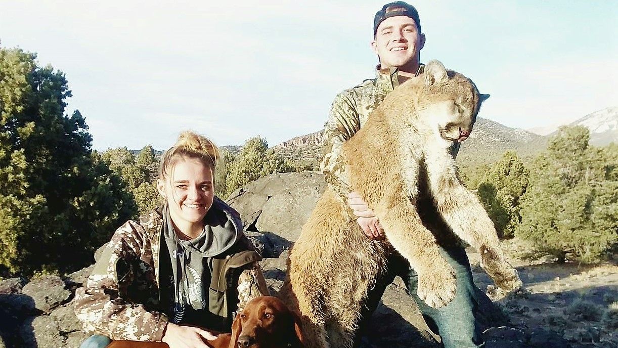 Top-Rated Mountain Lion Hunt in Nevada & Arizona
