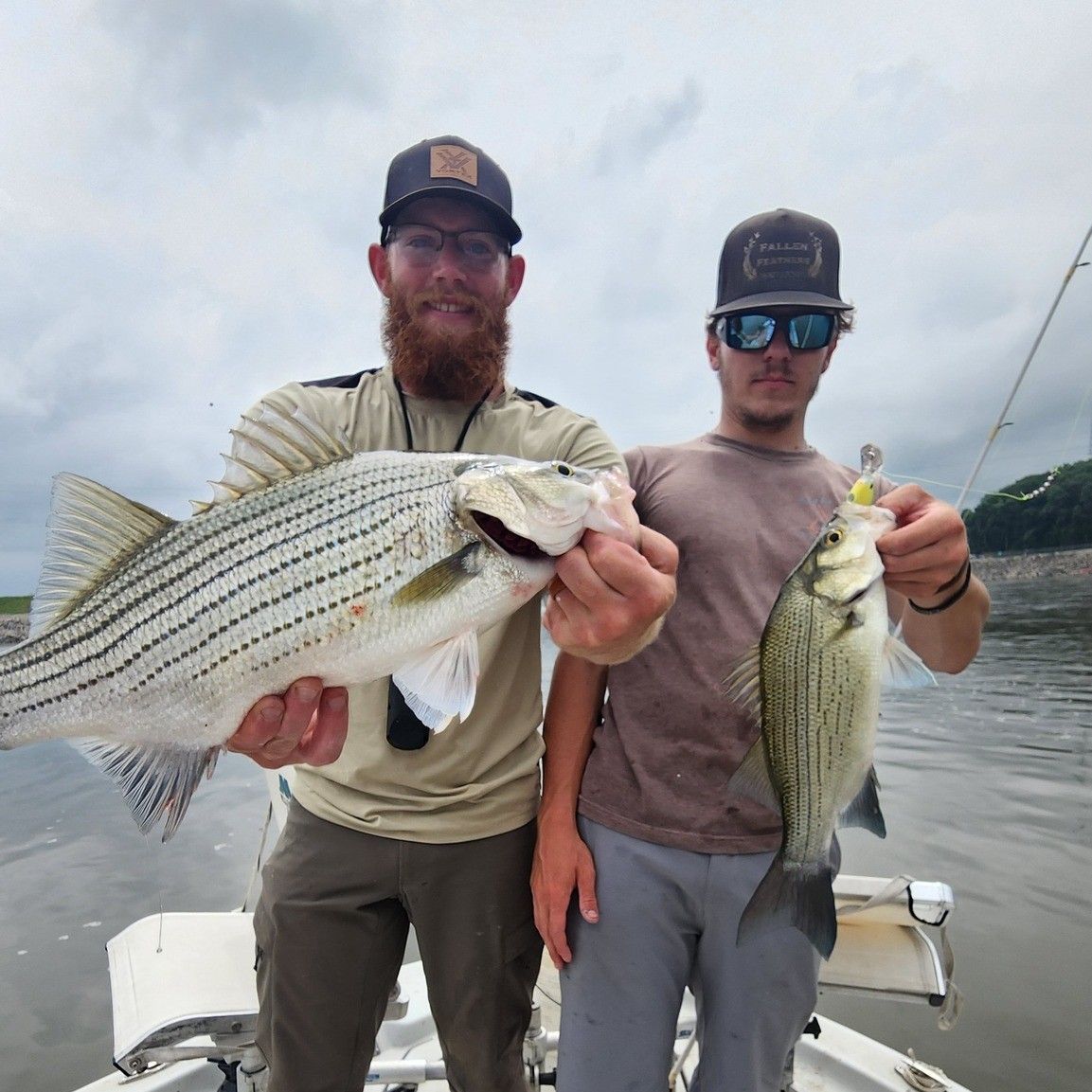 Best Oklahoma White Bass Fishing | Evening Charter