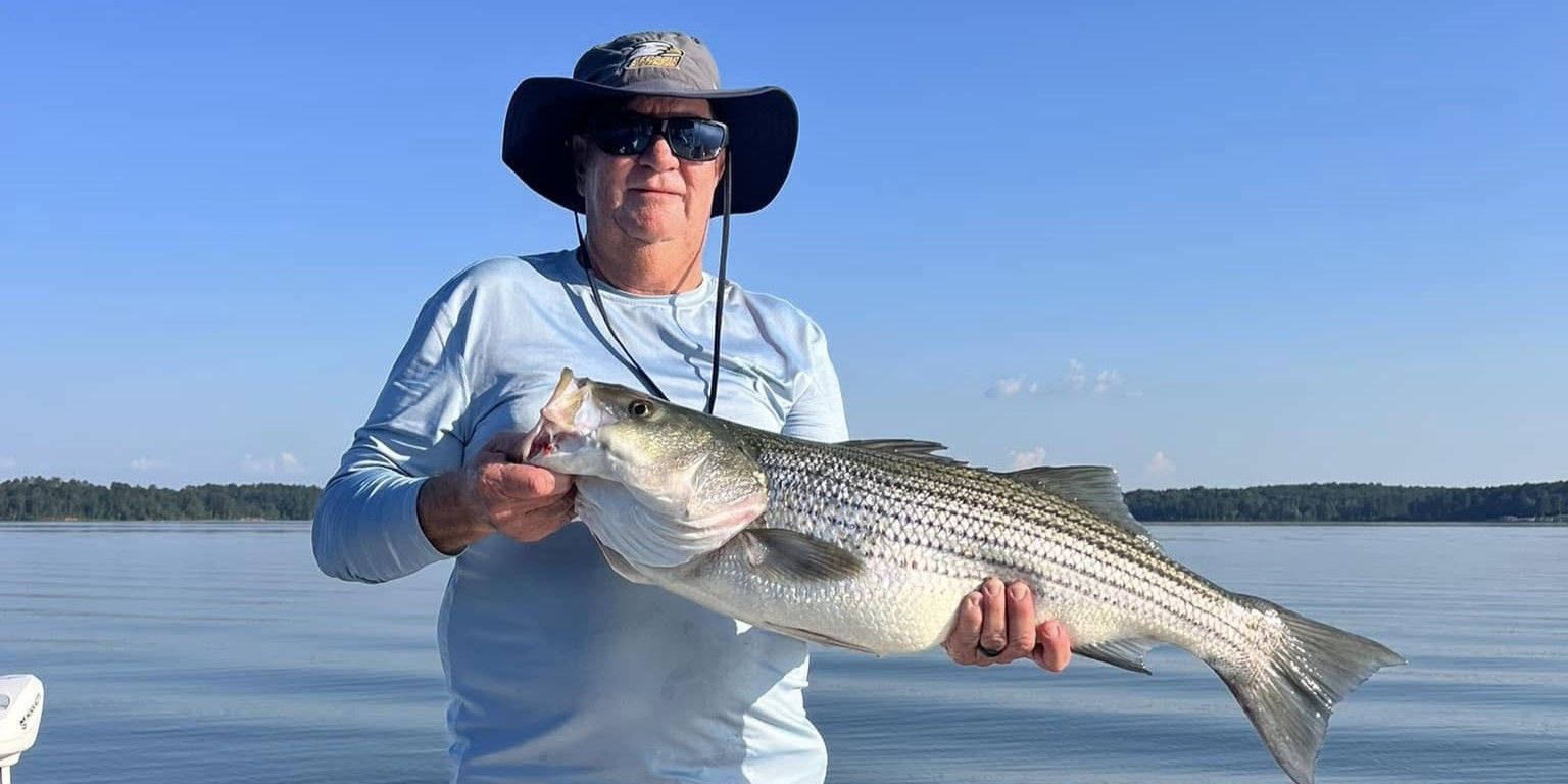 Bass Fishing Clarks Hill Lake Jodys Guide Service