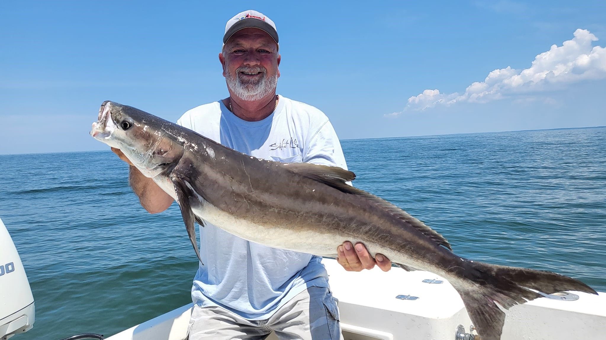 Expert Cobia Fishing Charters in Exmore, VA