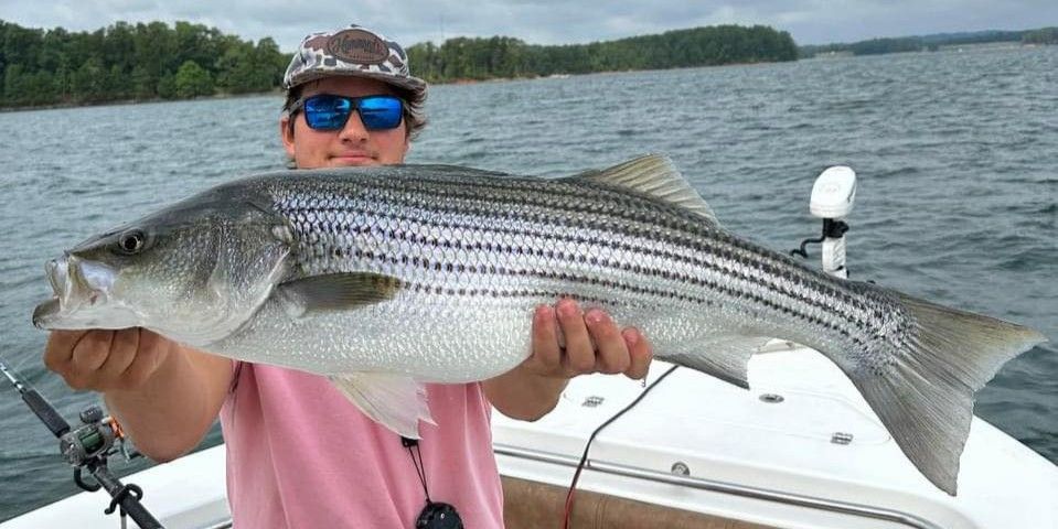 Premier Lake Lanier Bass Trips | Tate's Charters