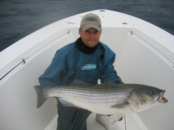 World-Class Striped Bass Fishing in Cape Cod