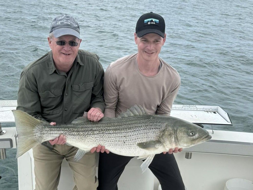 Full Day Bass Flounder Trip | Smokin Reel