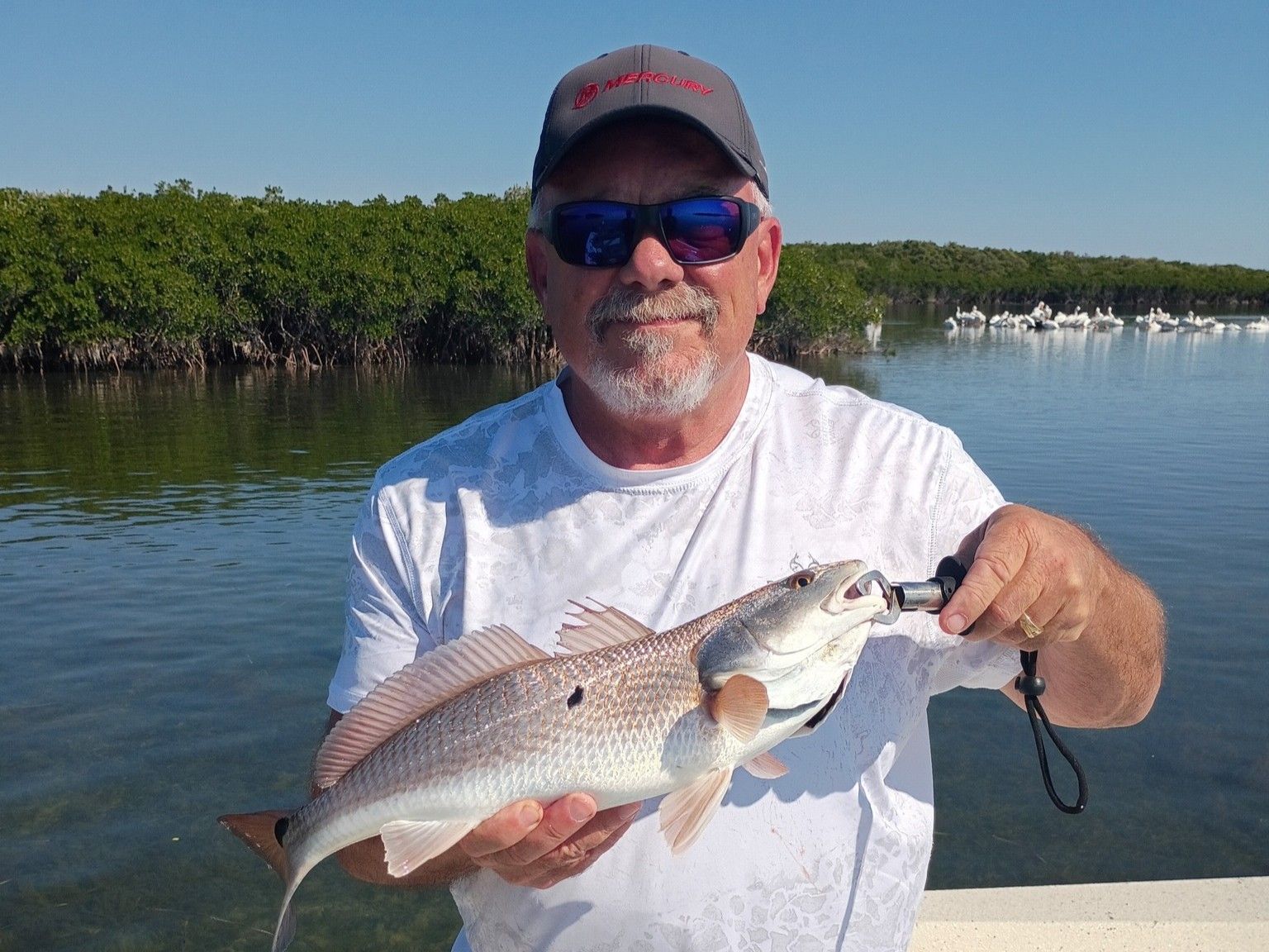 Premier Crystal River Inshore Fishing | Tops Charters