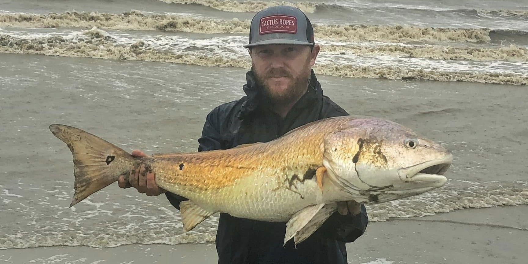 Top-Rated Shark Fishing on Galveston Shoreline