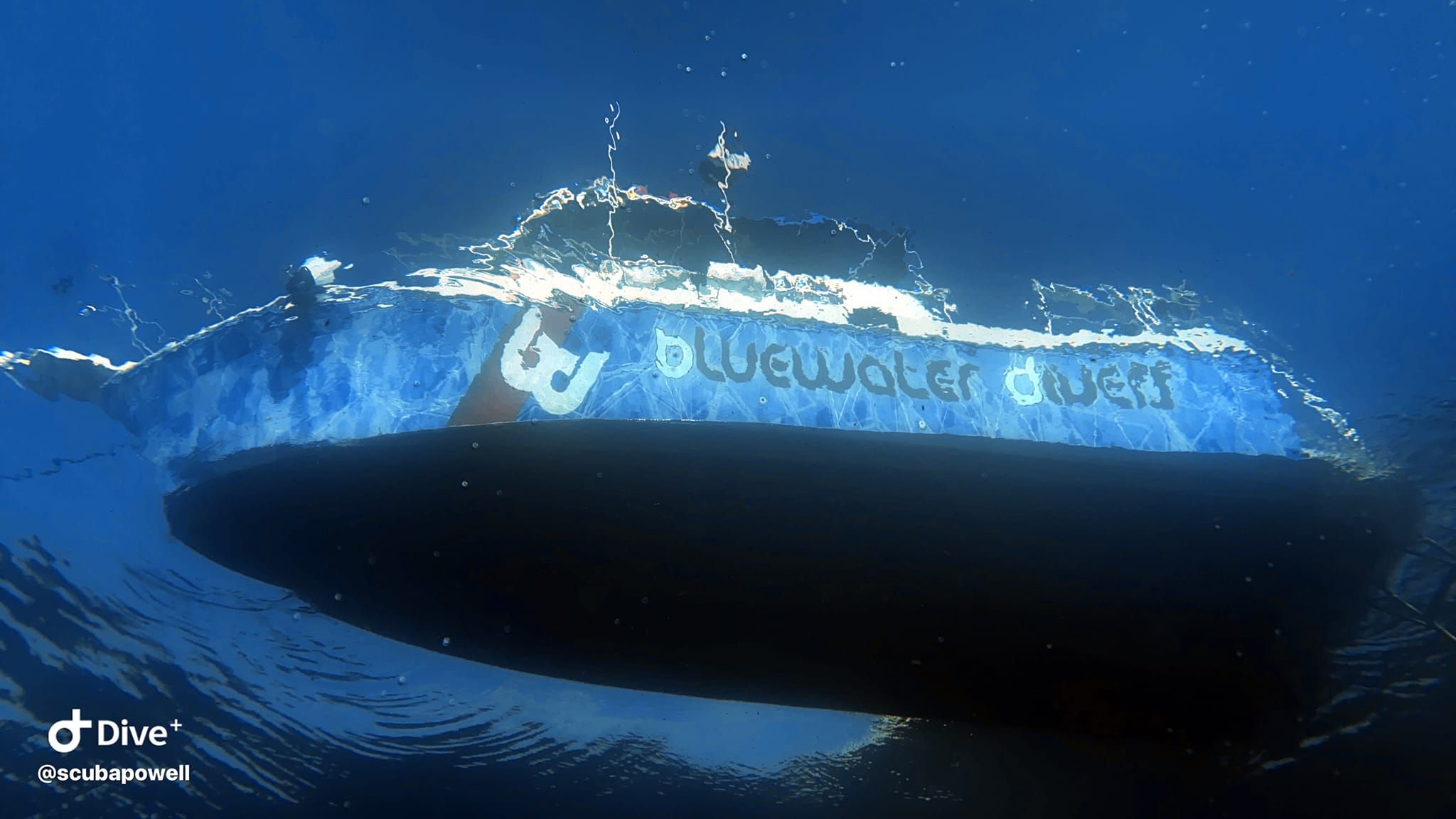 Checkout Dive Training Key Largo | BlueWater