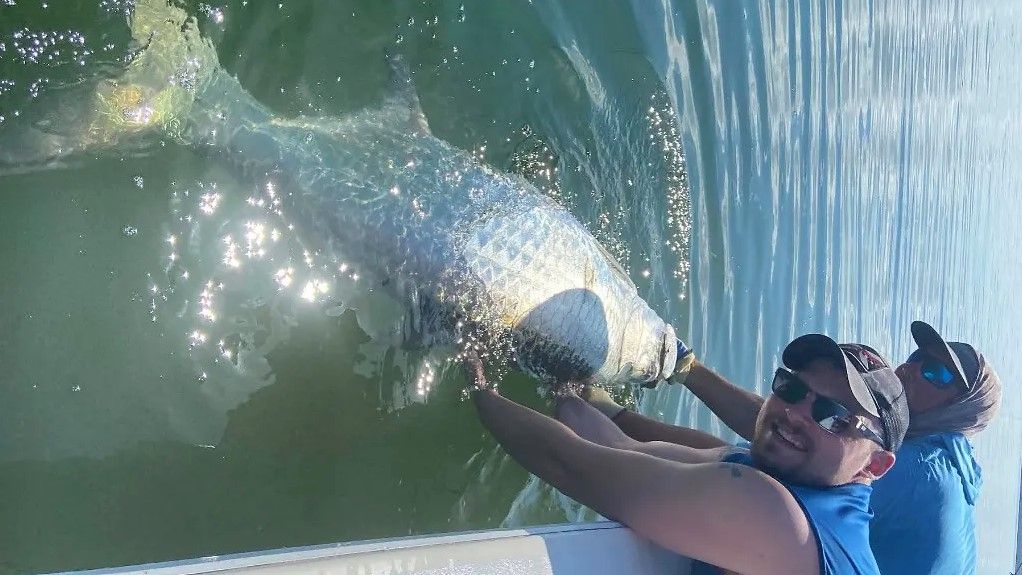 Cape Coral's Premier Tarpon Charter Fishing Trip