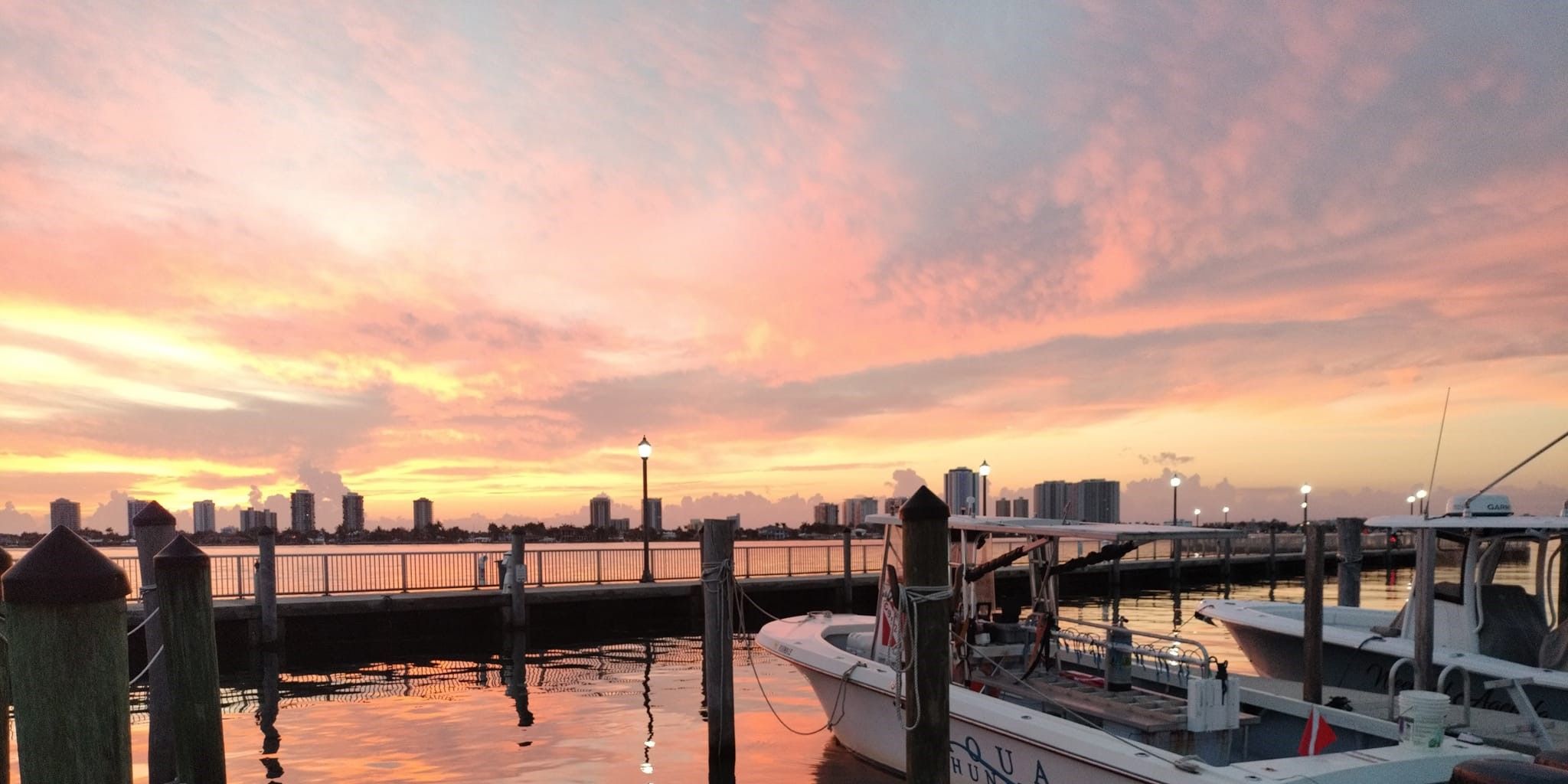 Top-Rated Iguana Hunting in West Palm Beach