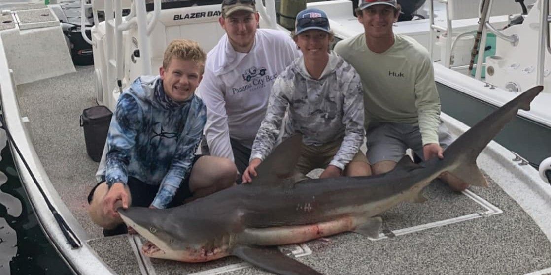 Learn Shark Fishing in Panama City Beach