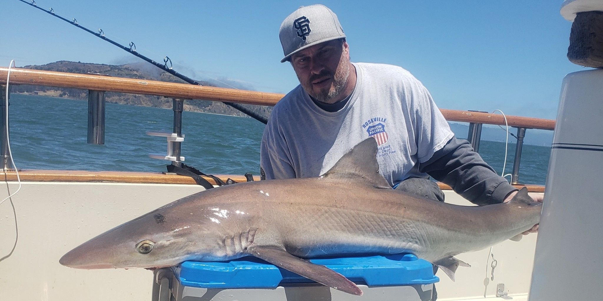 World-Class Monster Shark Fishing | HelpUFish