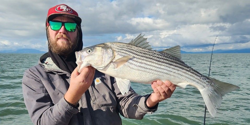SF's Best Striped Bass Charter | HelpUFish