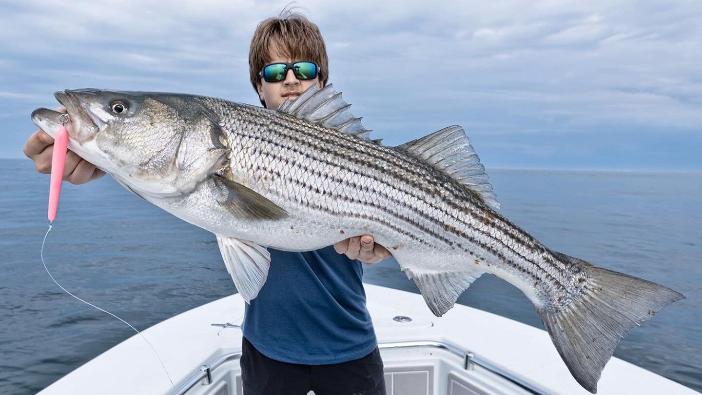 Boston's Premier Inshore Striped Bass Fishing