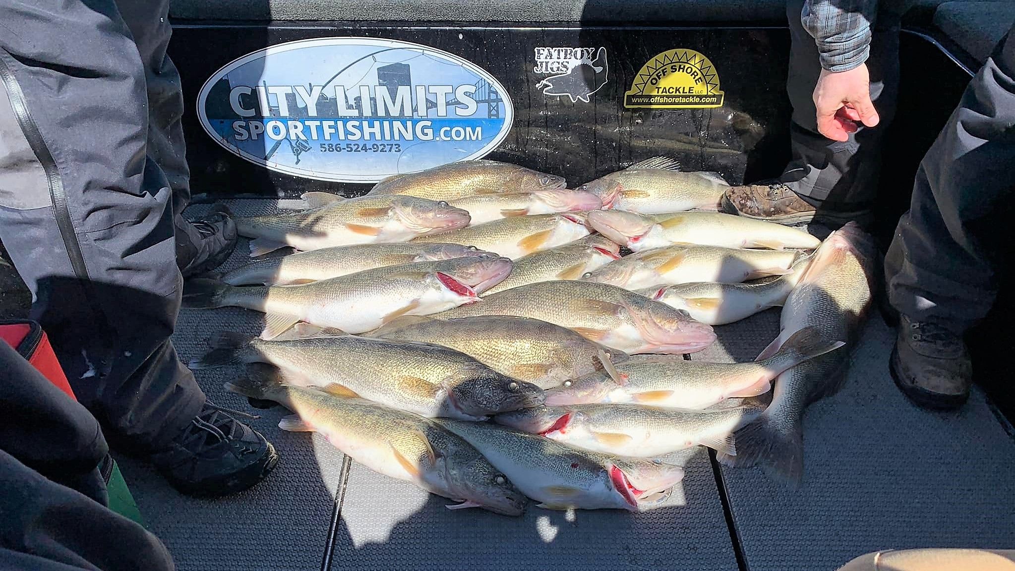 Expert Lake Erie Walleye Charters | City Limits